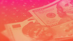 Freemium vs premium