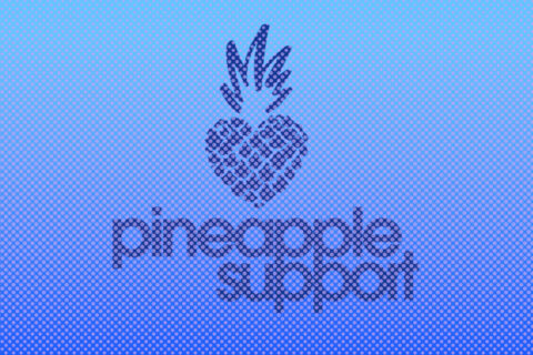 Pineapple Support Mental Health Summit on Dec 15 17